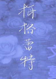 梅格雷探案第一季在线